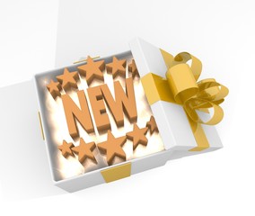 christmas gift box with new symnol