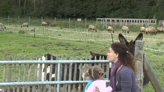 &agrave; la campagne