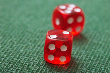 dice game