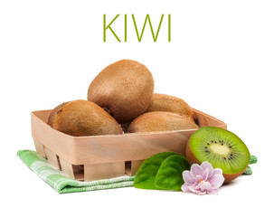 kiwi isolated