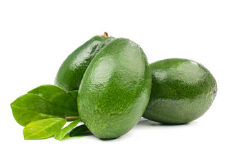 avocado isolated