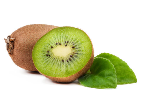 Kiwi Isolated