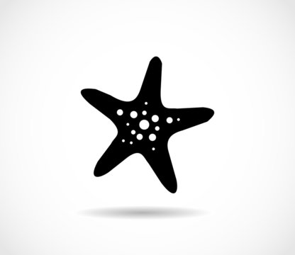 Starfish icon vector