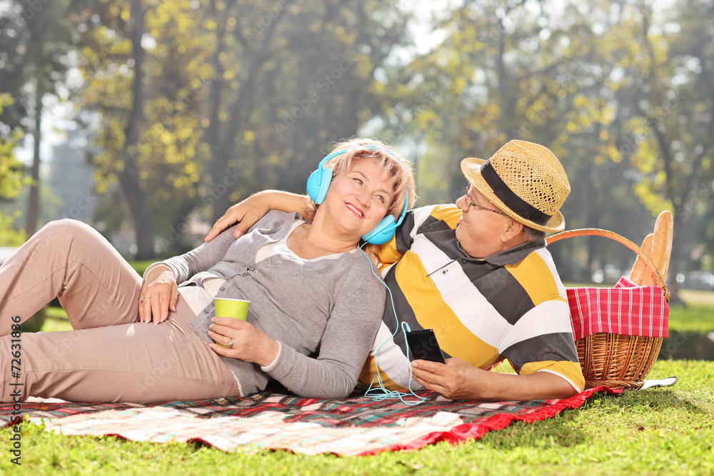 Wall mural Mature couple listening music on a picnic in park