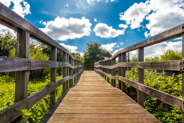 Obraz premium Bridge to the future