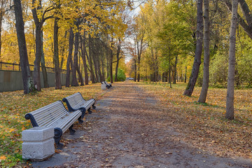 autumn park with benches