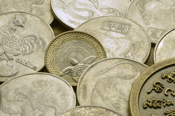 Tortuga Astrología china