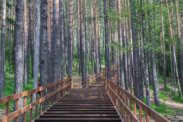 Wooden stairs in landscape park Stolby, near Krasnoyarsk, Russia