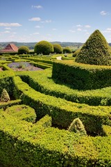 jardin de buis