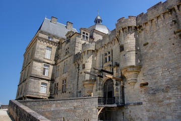 Obraz premium chateau en perigord