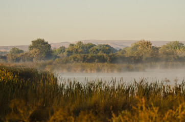 Fototapeta na wymiar Tranquility on a Golden Autumn Morning in the Marsh