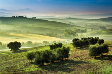 Obraz premium Fog in the valley at sunrise, Tuscany