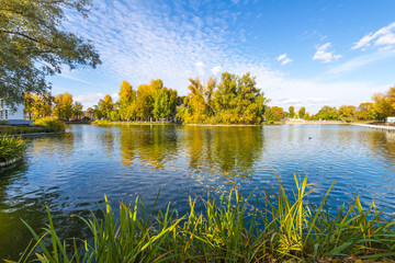 Fototapeta na wymiar Pond in the autumn park