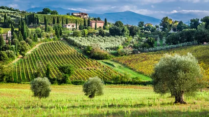 Fotobehang Toscane Wijngaarden en olijfbomen in een klein dorpje, Toscane