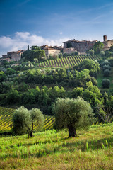 Fototapeta na wymiar View of a small town with vineyards and olive trees