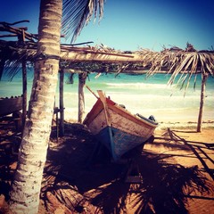 un pe&ntilde;ero en la sombrita