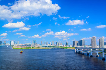 Fototapeta premium Tokyo bay aria