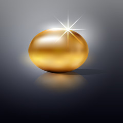 Vector Illustration Golden egg background