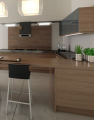 Kitchen Arrangement (focus)