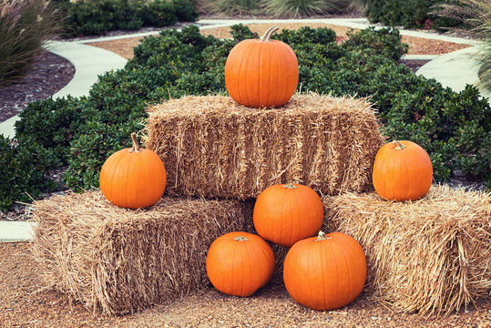 Pumpkin arrangement on hay bales