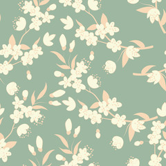 Colorful tree flowers.