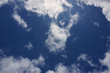 cloudy shape_ the seahorse