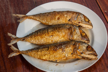 Fried mackerel in plate on wooden table.