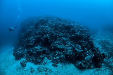 Fototapeta na wymiar Diver, coral reefs, Gili, Lombok, Nusa Tenggara Barat underwater