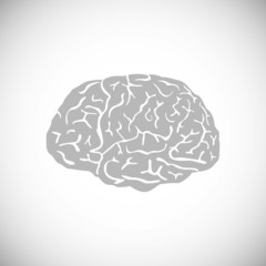 brain, vector, human, symbol, medicine, think, icon,