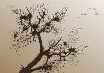 Bare tree with flying birds. Vector