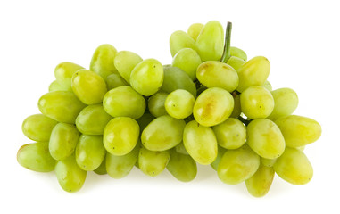 vine