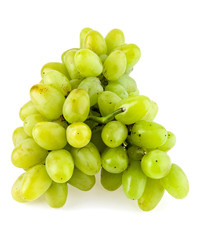 vine