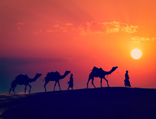 Two cameleers with camels in dunes of Thar deser