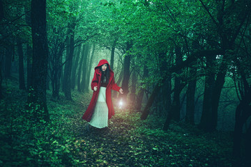 Little Red Riding Hood in the woods - 72657205