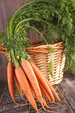 raw fresh carrot