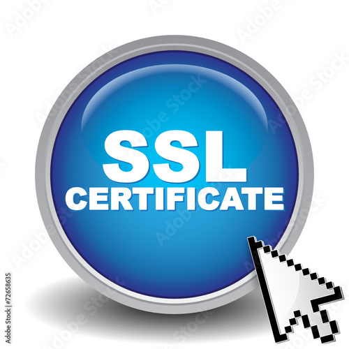 "SSL CERTIFICATE ICON" Stock image and royalty-free vector files on
