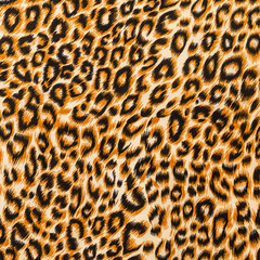 texture of close up print fabric striped leopard - 72660470