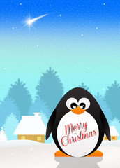 Penguin at Christmas