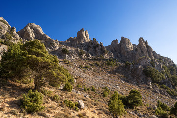 Fototapeta na wymiar Sardegna, Oliena, Monte Maccione