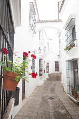 Fototapeta na wymiar Narrow Andalusian white street . Spain