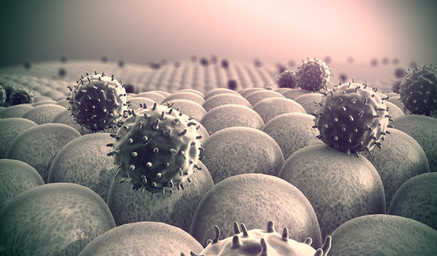 virus, cells