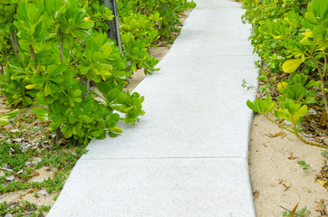 Stone path way on the lake of urban park.