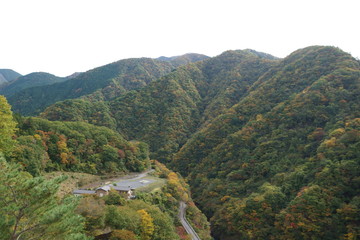 Fototapeta premium 紅葉の奥多摩