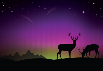 The aurora with a deers in the foreground.