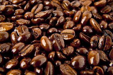 roasted coffee beans