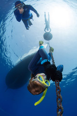Freedivers