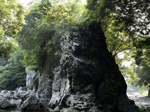 제주 안덕 계곡