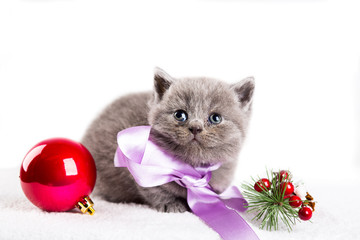 katzenbaby weihnachten