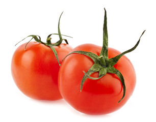 juicy tomatoes