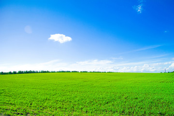 Farm Country Background
